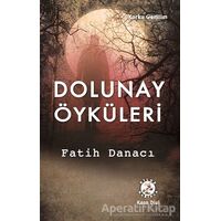 Dolunay Öyküleri - Fatih Danacı - Bilge Karınca Yayınları