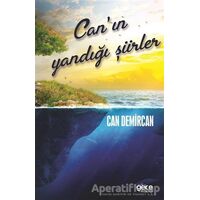 Canın Yandığı Şiirler - Can Demircan - Gece Kitaplığı