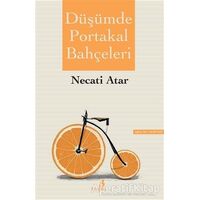 Düşümde Portakal Bahçeleri - Necati Atar - Bengisu Yayınları