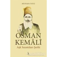 Osman Kemali Aşk Sızıntıları Şerhi - Mustafa Tatcı - H Yayınları
