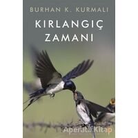 Kırlangıç Zamanı - Burhan K. Kurmalı - Cinius Yayınları