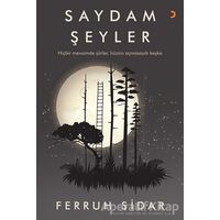 Saydam Şeyler - Ferruh Sidar - Cinius Yayınları
