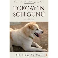 Tokcay’ın Son Günü - Ali Rıza Arıcan - Cinius Yayınları