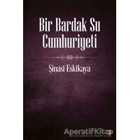 Bir Bardak Su Cumhuriyeti - Şinasi Eskikaya - Cinius Yayınları
