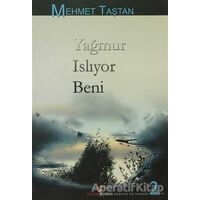 Yağmur Islıyor Beni - Mehmet Taştan - Berikan Yayınevi