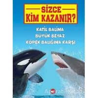 Katil Balina Büyük Beyaz Köpek Balığına Karşı - Sizce Kim Kazanır?