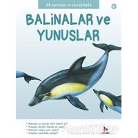 İlk Sorular ve Cevaplarla: Balinalar ve Yunuslar - Belinda Gallagher - Almidilli
