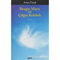 Bezgin Martı ve Çılgın Kelebek - Artun Ünsal - Yapı Kredi Yayınları