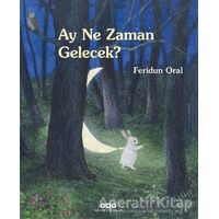 Ay Ne Zaman Gelecek? - Feridun Oral - Yapı Kredi Yayınları