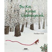 Bu Kış Kimse Üşümeyecek - Feridun Oral - Yapı Kredi Yayınları