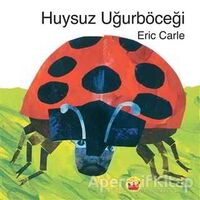 Huysuz Uğurböceği - Eric Carle - Kuraldışı Yayınevi
