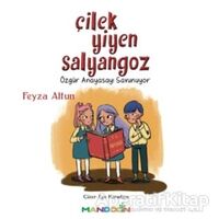 Çilek Yiyen Salyangoz - Feyza Altun - Mandolin Yayınları