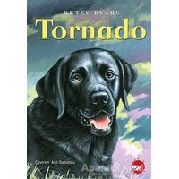 Tornado - Betsy Byars - Beyaz Balina Yayınları