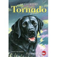 Tornado - Betsy Byars - Beyaz Balina Yayınları