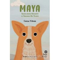 Maya - Sokaklardan Barınağa ve Sonunda Bir Yuvaya - Cansu Yılmaz - Hep Kitap