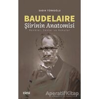 Baudelaire Şiirinin Anatomisi - Sadık Türkoğlu - Çizgi Kitabevi Yayınları