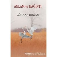 Anlam ve Bağıntı - Gürkan Doğan - BilgeSu Yayıncılık