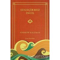 Su Geçirmez İncil - Andrew Kaufman - Domingo Yayınevi