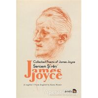Collected Poems Of James Joyce - Sercem Şiren James Joyce - Kawa Nemir - Avesta Yayınları