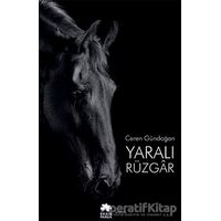 Yaralı Rüzgar - Ceren Gündoğan - Eksik Parça Yayınları