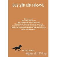 Beş Şiir Bir Hikaye - Metin Karatay - Sokak Kitapları Yayınları