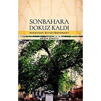 Sonbahara Dokuz Kaldı - Abidin Güneyli - Akçağ Yayınları