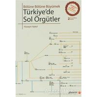 Türkiyede Sol Örgütler - Hüseyin Aykol - Phoenix Yayınevi