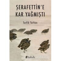 Şerafettin’e Kar Yağmıştı - Tevfik Tarhan - Babek Yayınları