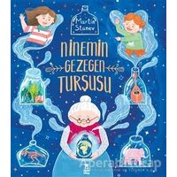 Ninemin Gezegen Turşusu - Martin Stanev - Taze Kitap