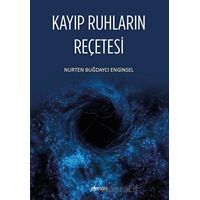 Kayıp Ruhların Reçetesi - Nurten Buğdaycı Enginsel - Armoni Yayıncılık