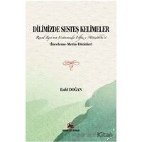 Dilimizde Sesteş Kelimeler - Enfel Doğan - Akademi Titiz Yayınları