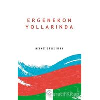 Ergenekon Yollarında - Mehmet Sadık Aran - Post Yayınevi