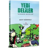 Yedi Deliler - Edip Yağmurlu - Erguvan Yayınevi