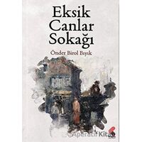 Eksik Canlar Sokağı - Önder Birol Bıyık - Klaros Yayınları
