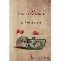 Diken Zulası - Aliye Aybüke Özdemir - Klaros Yayınları