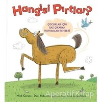 Hangisi Pırtlar - Nick Caruso - MEAV Yayıncılık