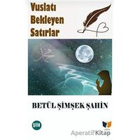 Vuslatı Bekleyen Satırlar - Betül Şimşek Şahin - Ateş Yayınları