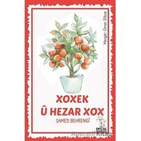 Xoxek Ü Hezar Xox - Samed Behrengi - Delal Yayınları