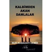 Kalbimden Akan Damlalar - Nur Kabadayı Demir - Kuytu Yayınları