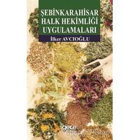 Şebinkarahisar Halk Hekimliği Uygulamaları - İlker Avcıoğlu - Gece Kitaplığı