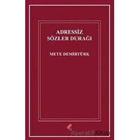 Adressiz Sözler Durağı - Mete Demirtürk - Klaros Yayınları