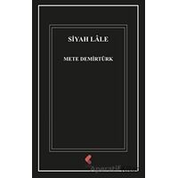 Siyah Lale - Mete Demirtürk - Klaros Yayınları