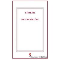 Şiirler - Mete Demirtürk - Klaros Yayınları