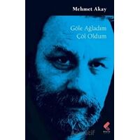 Göle Ağladım Çöl Oldum - Mehmet Akay - Klaros Yayınları