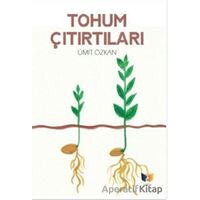 Tohum Çıtırtıları - Ümit Özkan - Ateş Yayınları