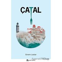 Çatal - Sinem Lostar - Sander Yayınları