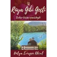 Rüya Gibi Geçti - Hülya Evirgen Akçal - Luna Yayınları