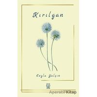 Kırılgan - Leyla Yalçın - Luna Yayınları