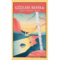 Gözleri Berika - Korkut Mehmet Avşar - Panu Kitap