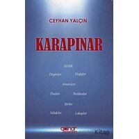 Karapınar - Ceyhan Yalçın - Gülnar Yayınları